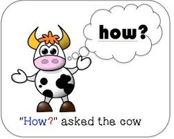 Question 5